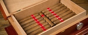 Eagan Cigars & Tobacco Store (Eagan, MN)